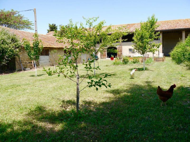 Ferme St Pierre 2 Suites Avec Repas, Piscine, Clim, Cheminee Ou Baignoire Spa Chabeuil Εξωτερικό φωτογραφία
